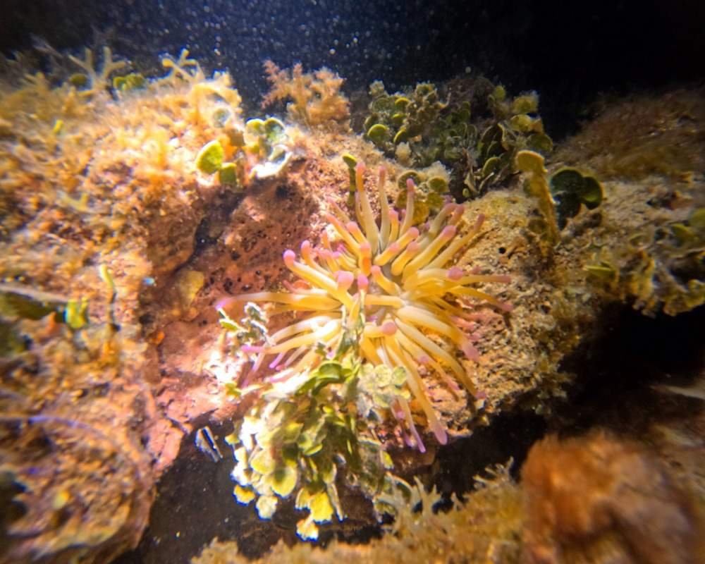 Services Photo Slideshow Size (1)