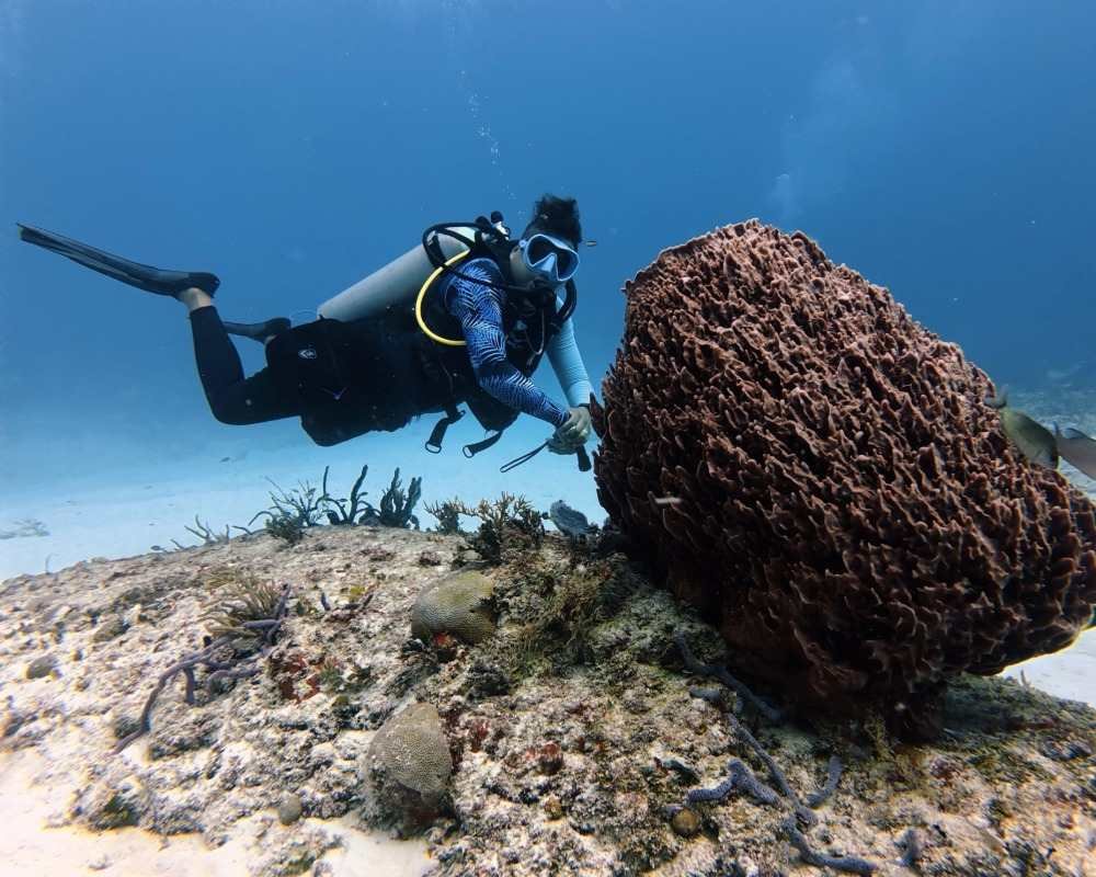 Services Photo Slideshow Size (1)