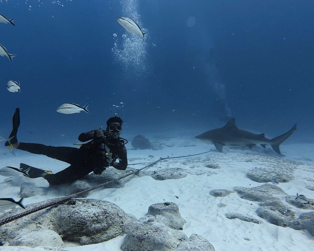 Services Photo Slideshow Size (1)