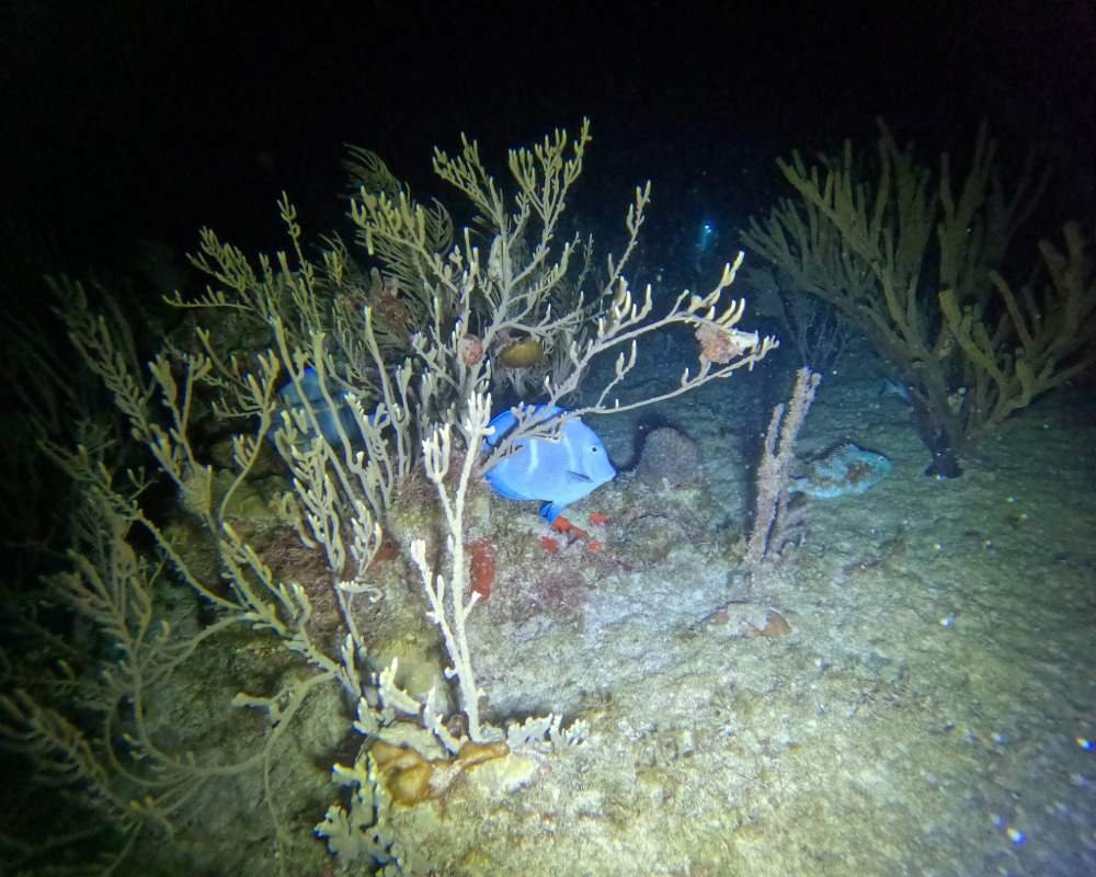 Services Photo Slideshow Size (10)