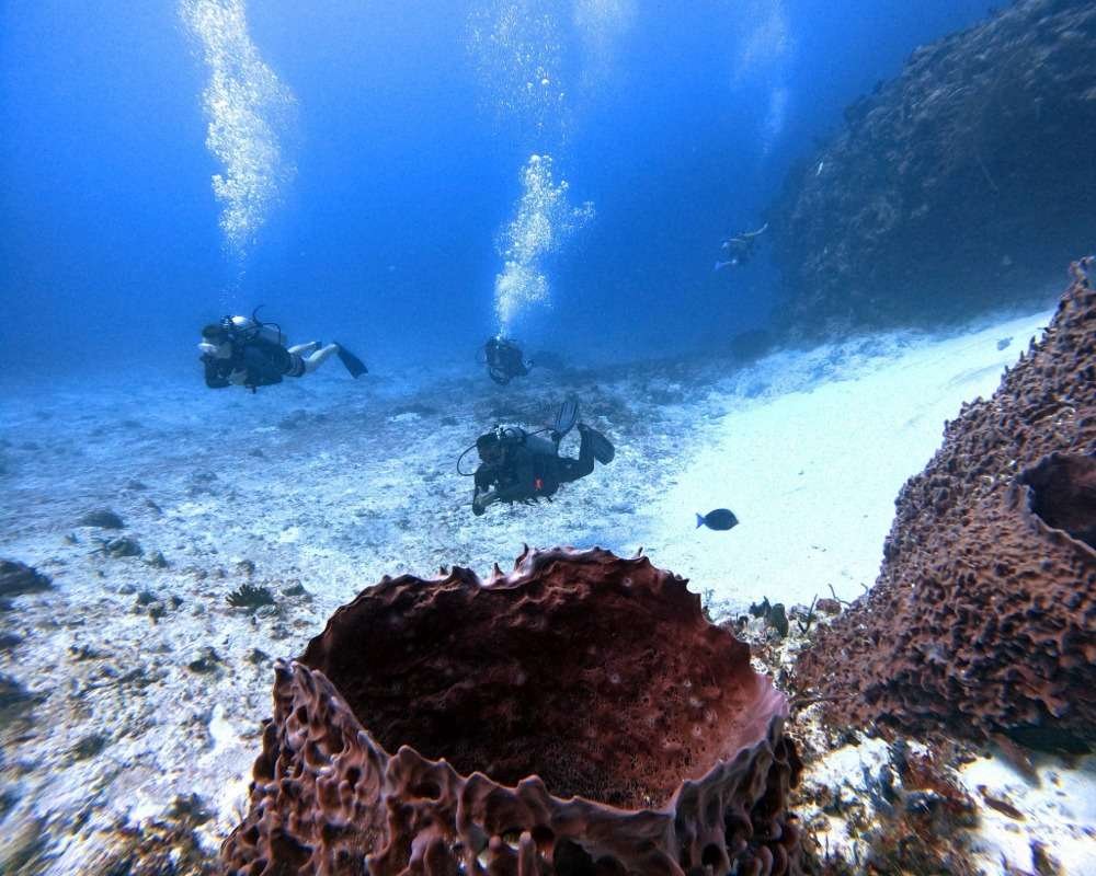 Services Photo Slideshow Size (10)