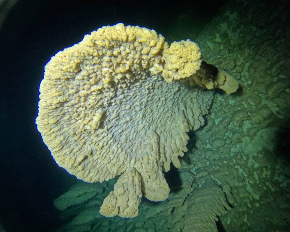 Services Photo Slideshow Size (10)