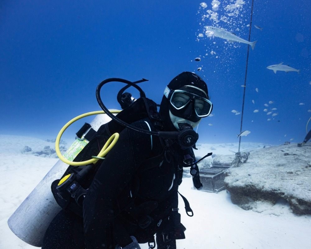 Services Photo Slideshow Size (10)