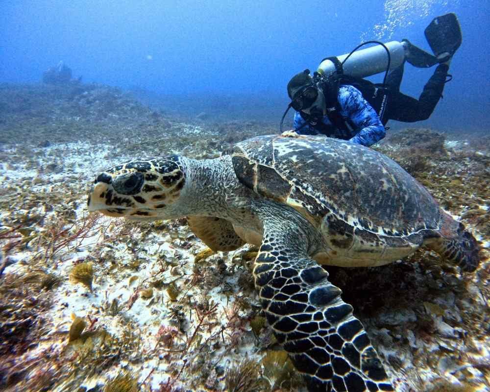 Services Photo Slideshow Size (11)