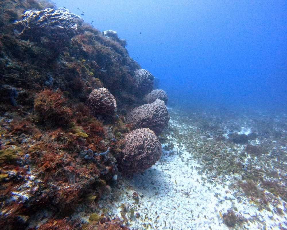 Services Photo Slideshow Size (12)