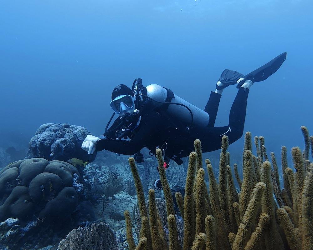 Services Photo Slideshow Size (13)