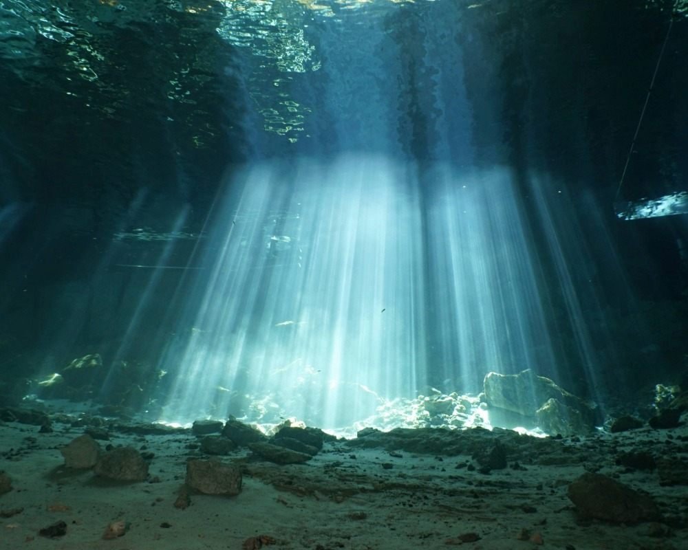 Services Photo Slideshow Size (14)