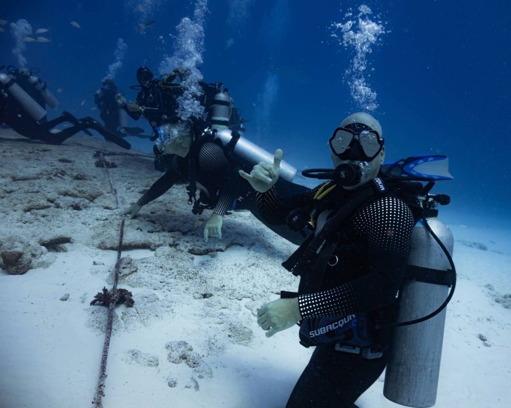 Services Photo Slideshow Size (14)