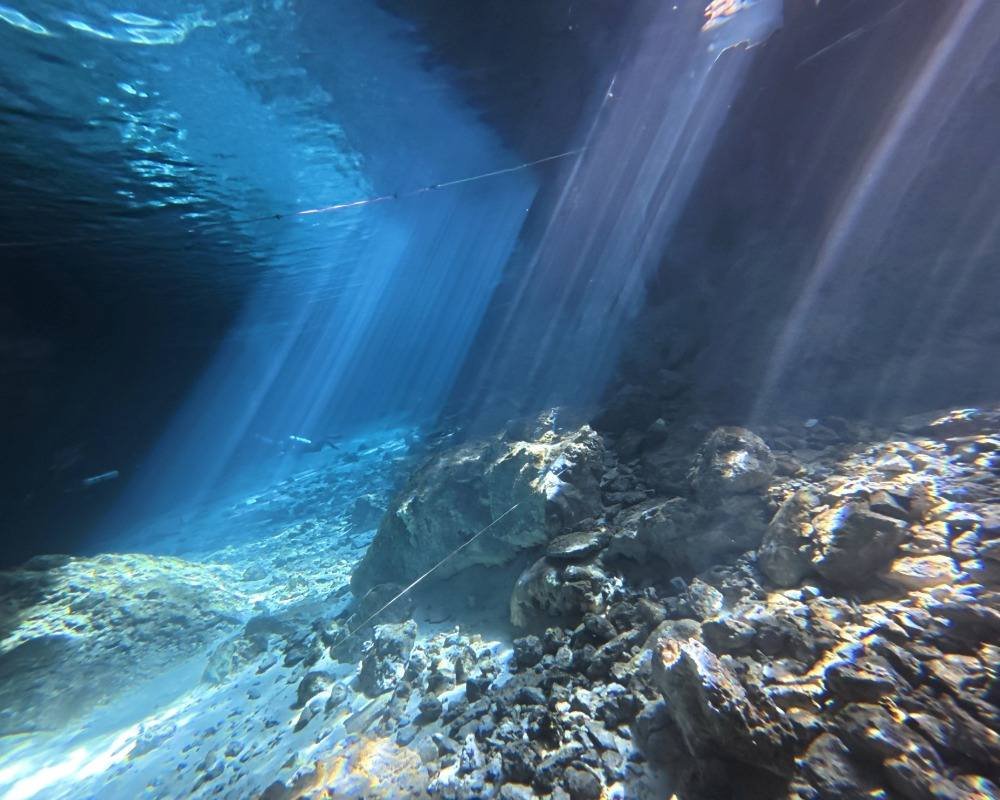 Services Photo Slideshow Size (16)