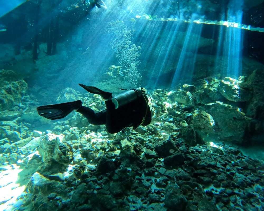 Services Photo Slideshow Size