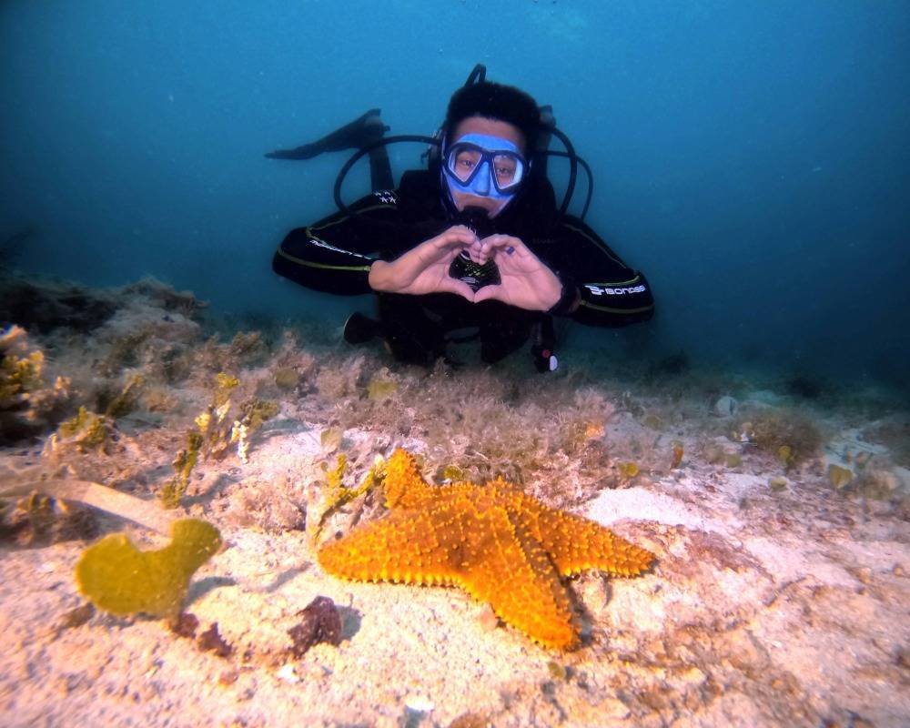 Services Photo Slideshow Size (2)