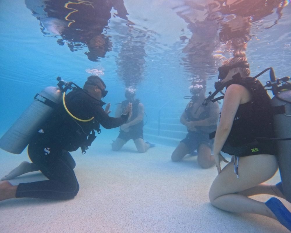 Services Photo Slideshow Size (2)