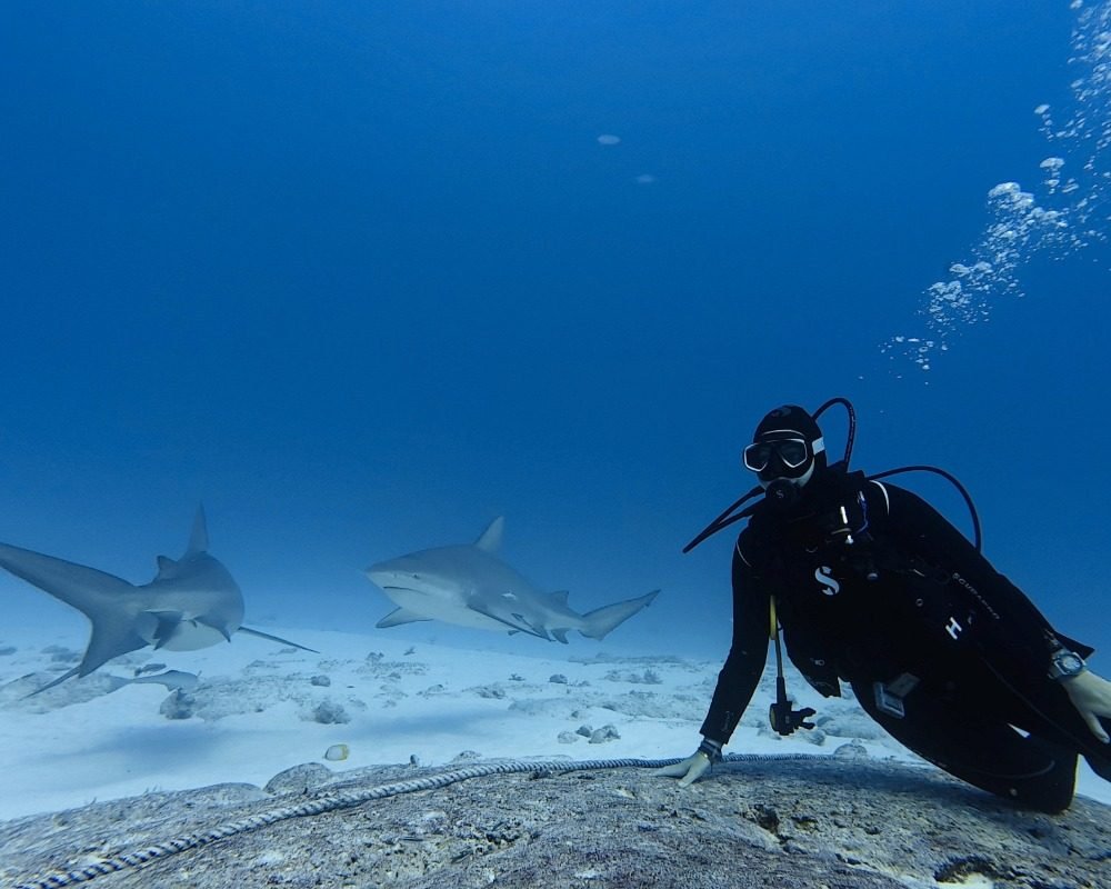 Services Photo Slideshow Size (2) copy