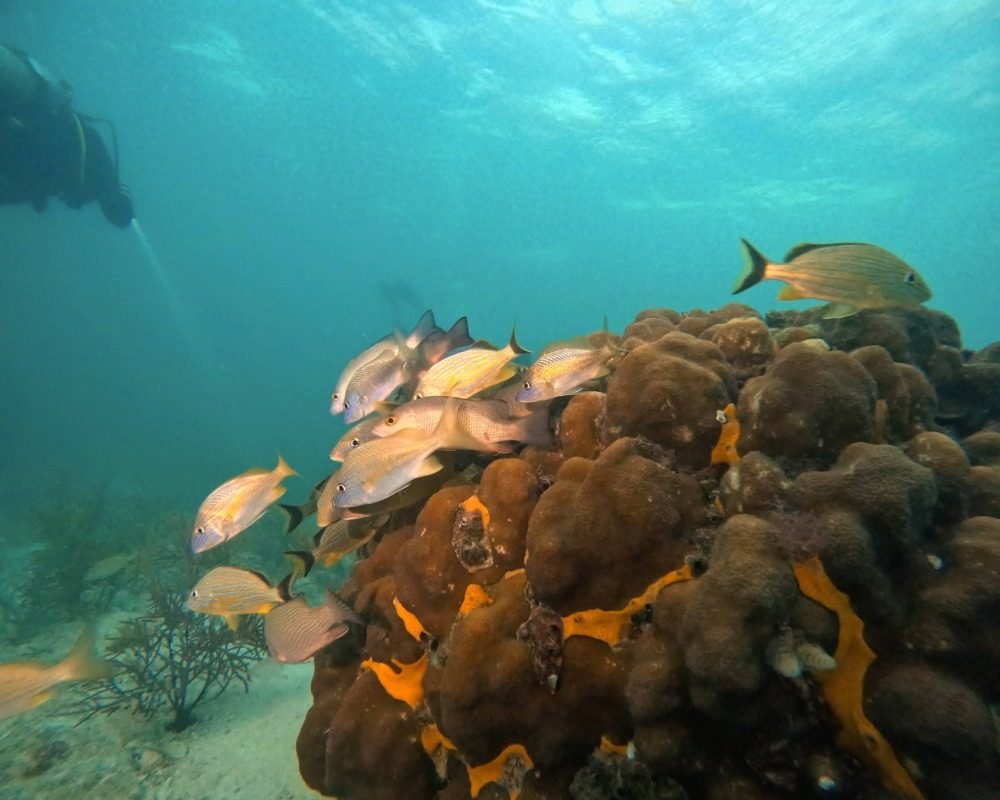 Services Photo Slideshow Size