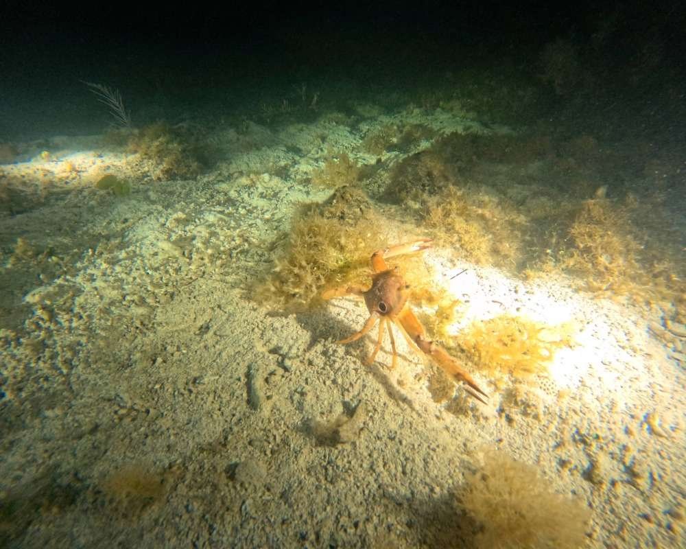 Services Photo Slideshow Size (3)