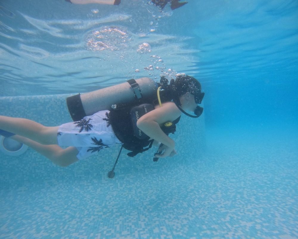 Services Photo Slideshow Size (3)