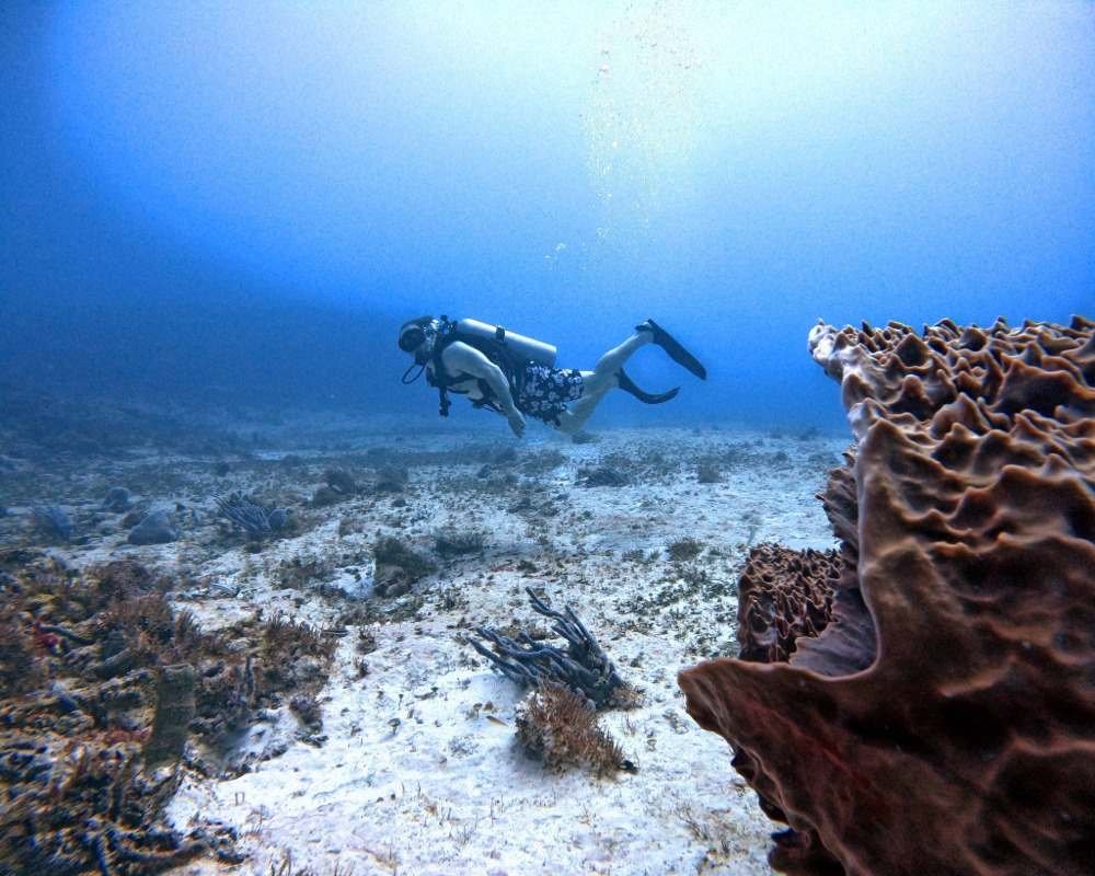 Services Photo Slideshow Size (3)