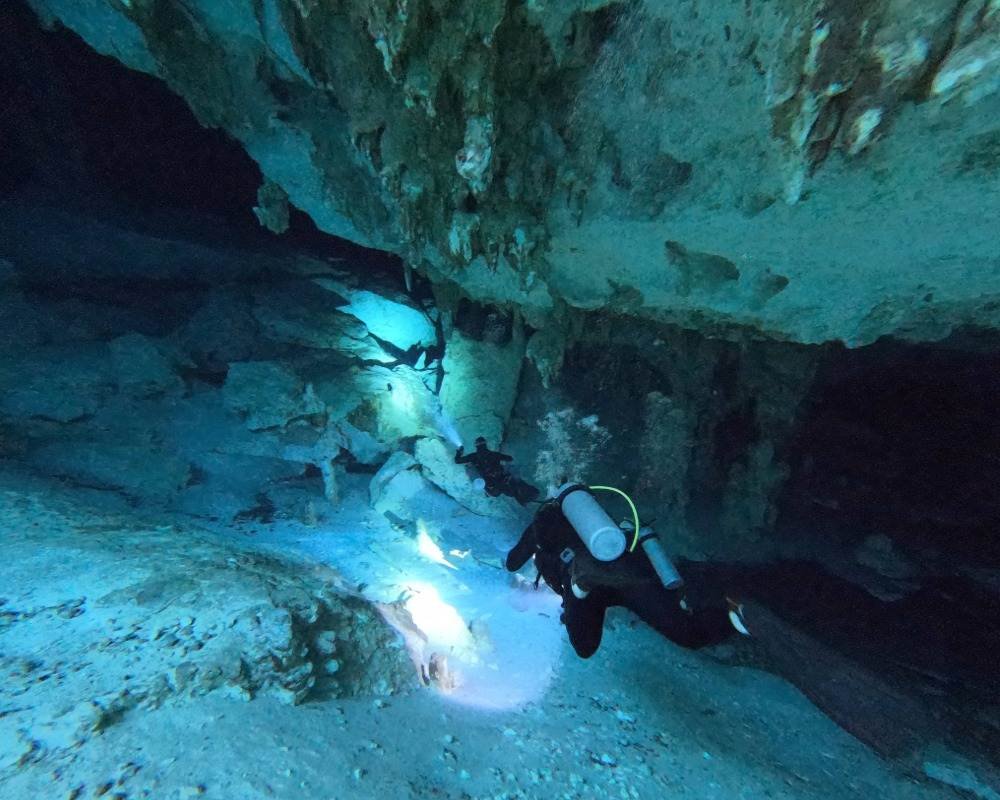 Services Photo Slideshow Size (3)