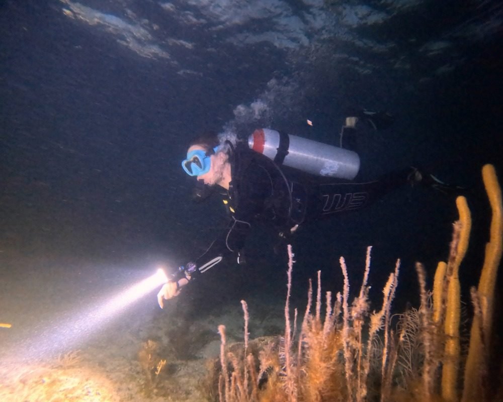 Services Photo Slideshow Size (4)