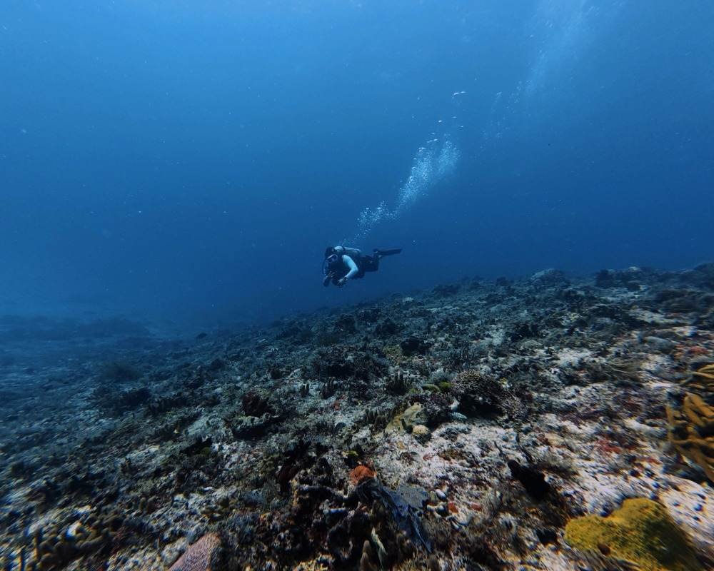 Services Photo Slideshow Size (4)