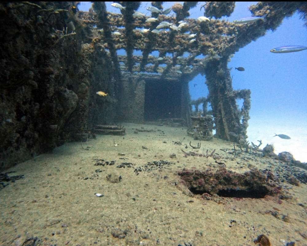 Services Photo Slideshow Size (4)