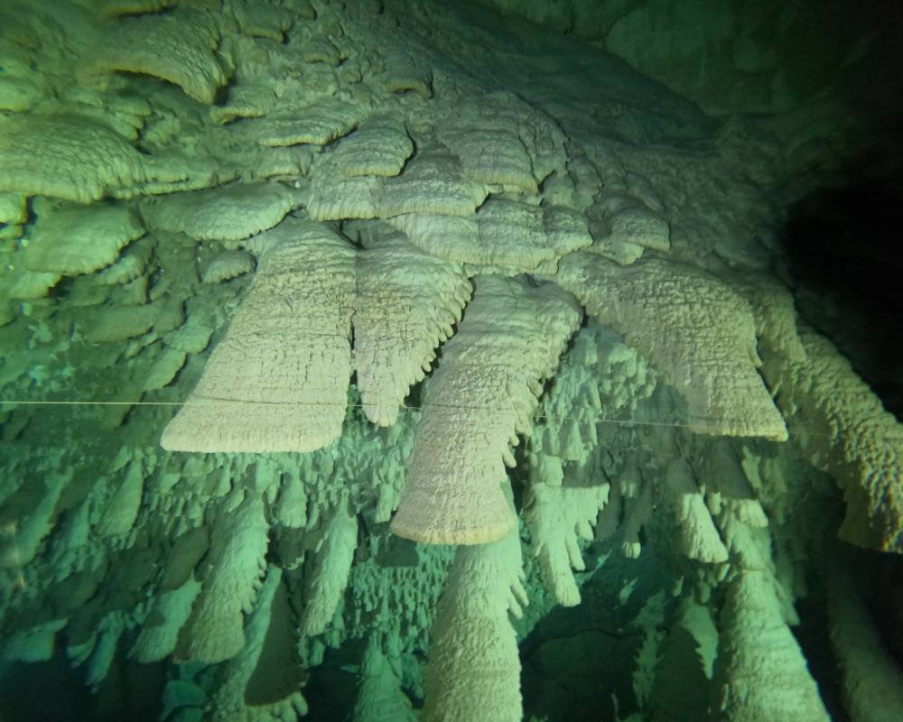 Services Photo Slideshow Size (5)