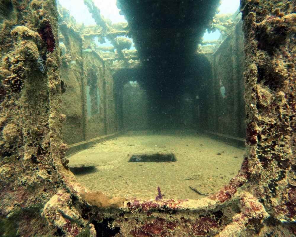 Services Photo Slideshow Size (5)