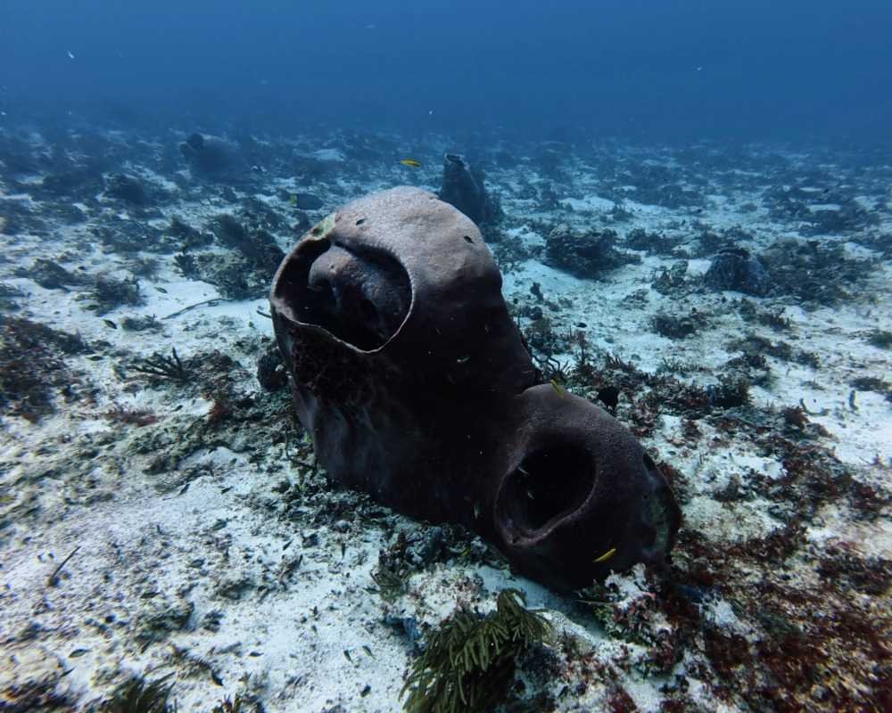 Services Photo Slideshow Size (6)