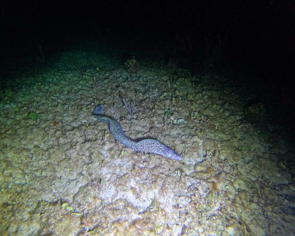 Services Photo Slideshow Size (6)