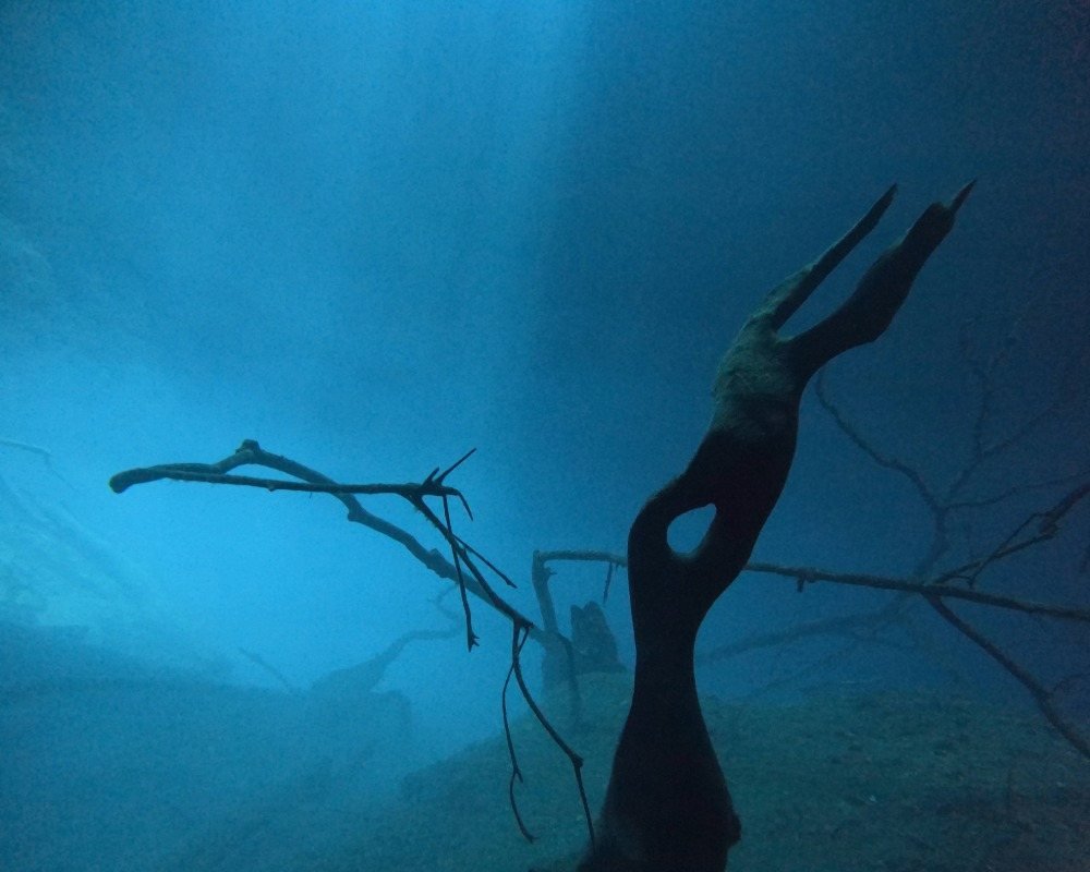 Services Photo Slideshow Size (6)