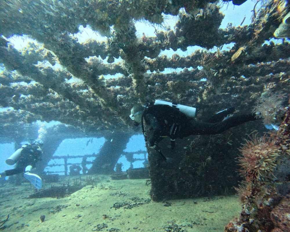 Services Photo Slideshow Size (7)