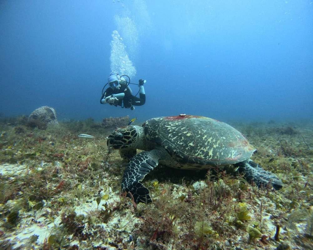 Services Photo Slideshow Size (8)