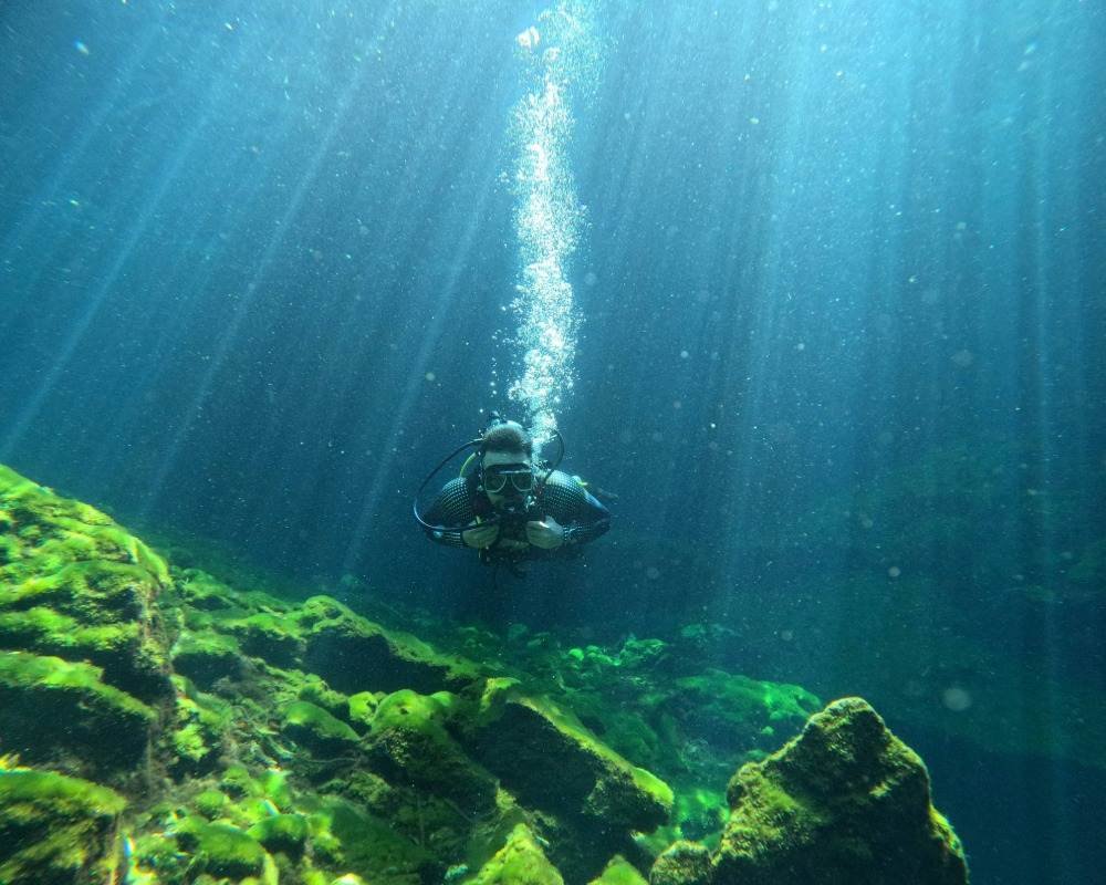 Services Photo Slideshow Size (8)