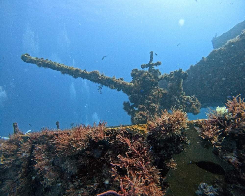 Services Photo Slideshow Size (8)