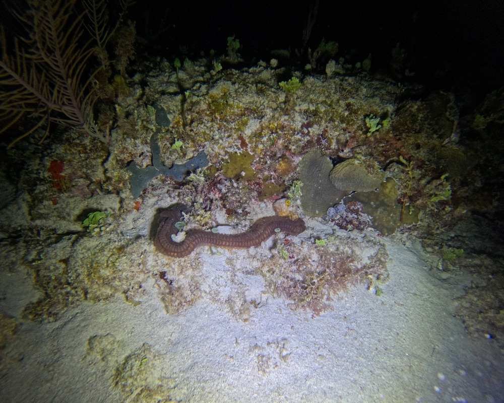 Services Photo Slideshow Size (9)