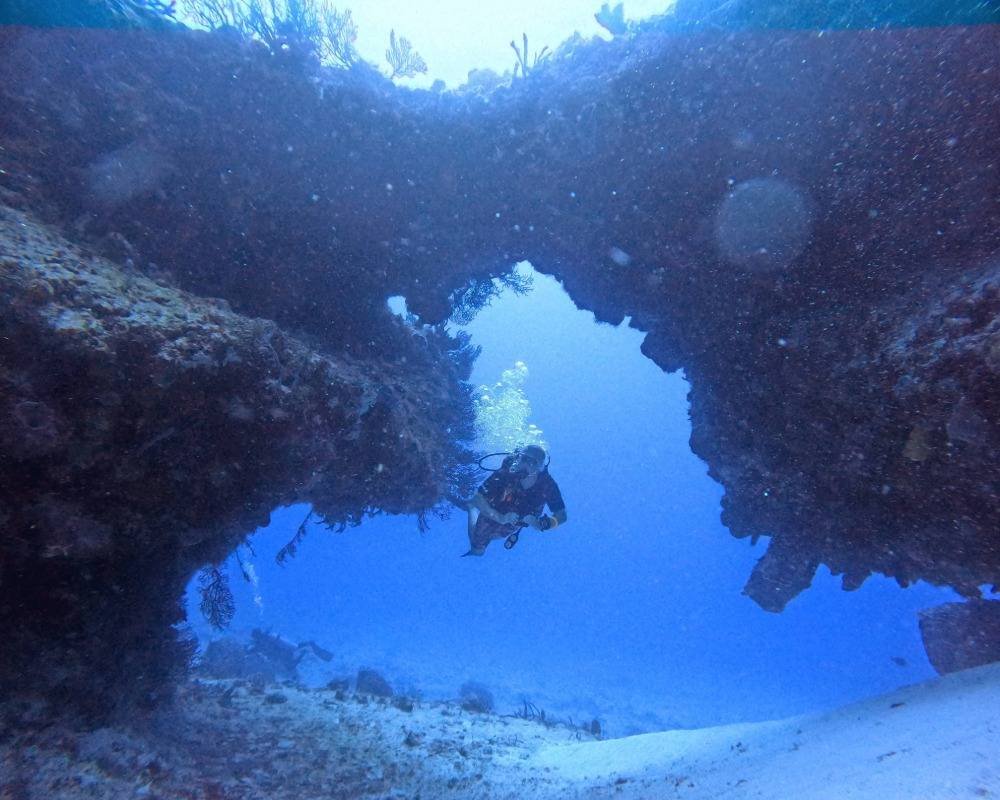 Services Photo Slideshow Size (9)