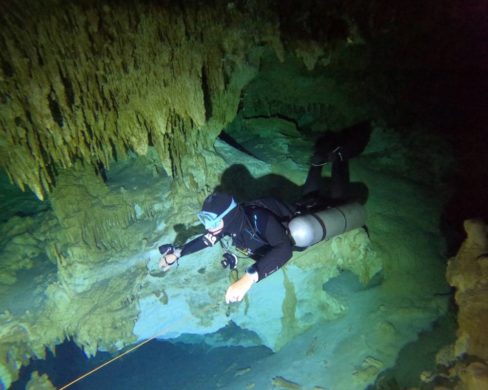 Services Photo Slideshow Size (9)