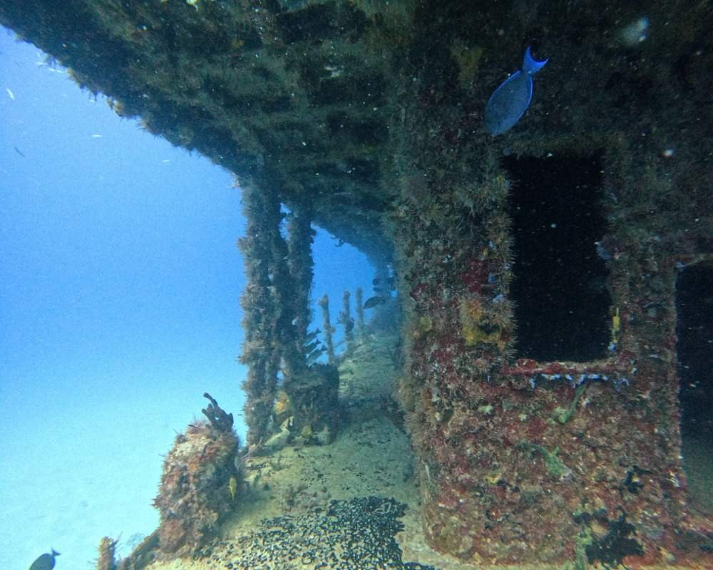 Services Photo Slideshow Size (9)