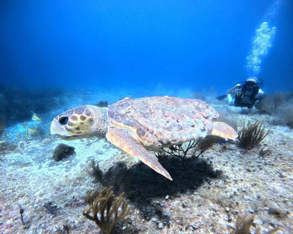 Services Photo Slideshow Size copy 11