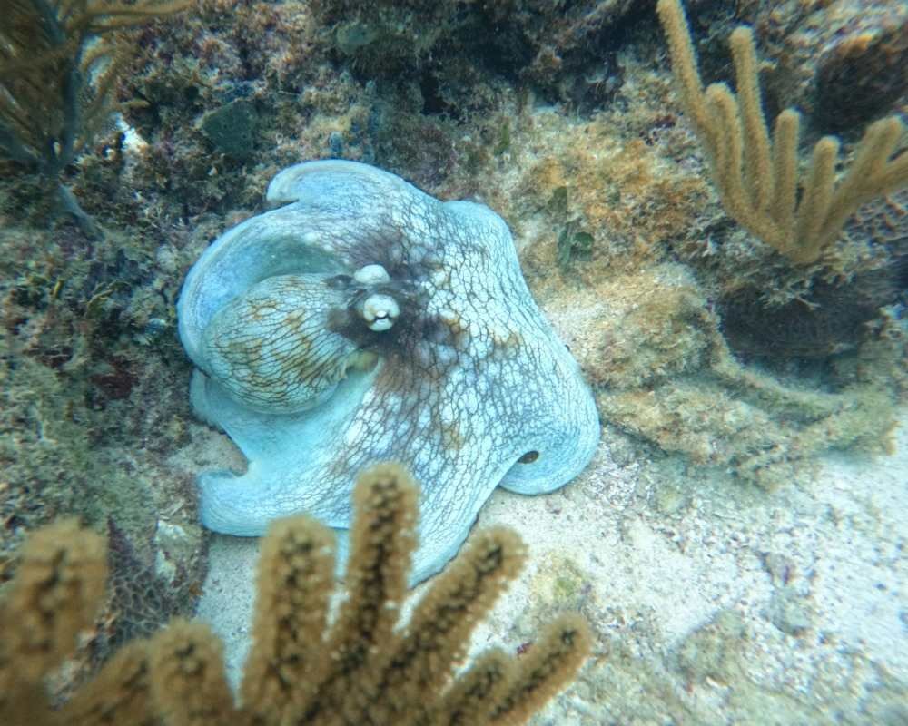 Services Photo Slideshow Size copy 12