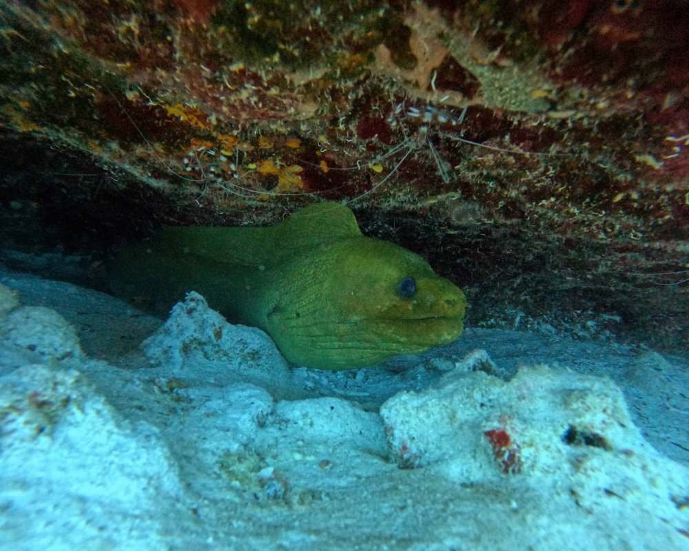 Services Photo Slideshow Size copy 13