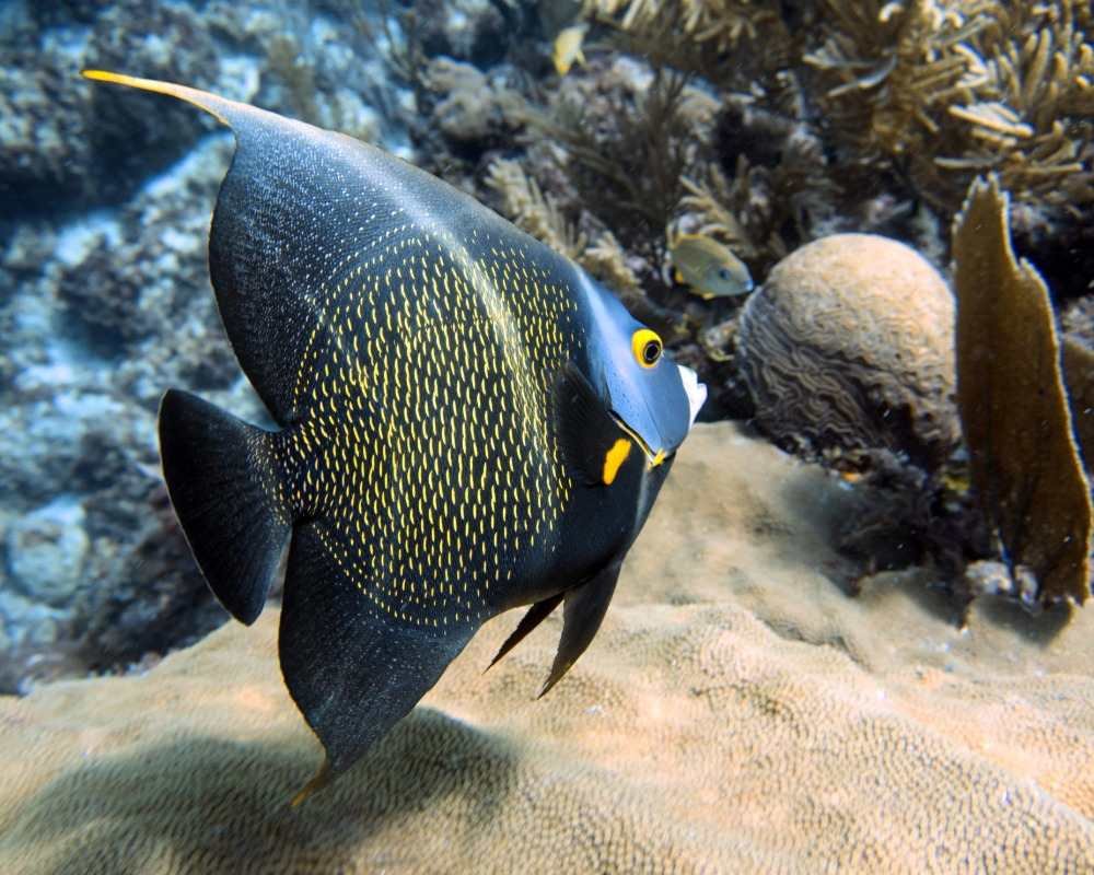 Services Photo Slideshow Size copy 15