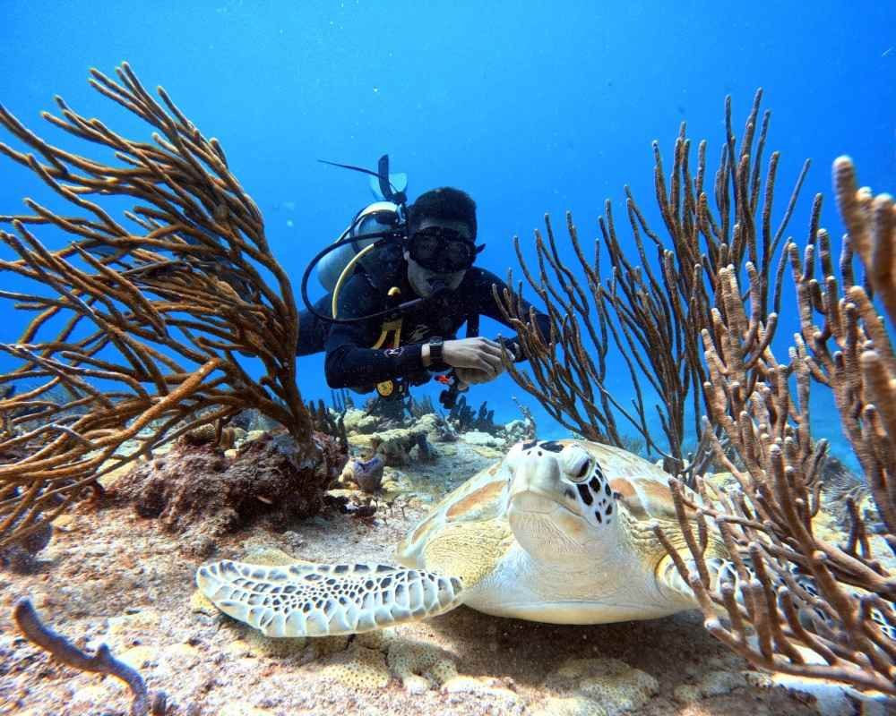 Services Photo Slideshow Size copy