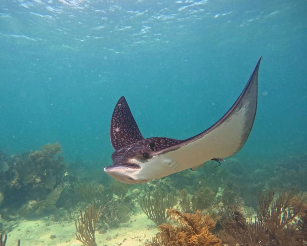 Services Photo Slideshow Size copy 2