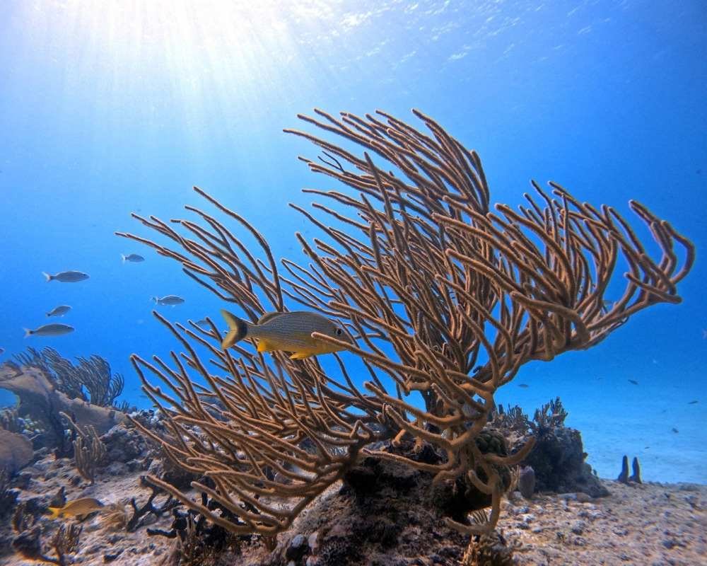 Services Photo Slideshow Size copy 4