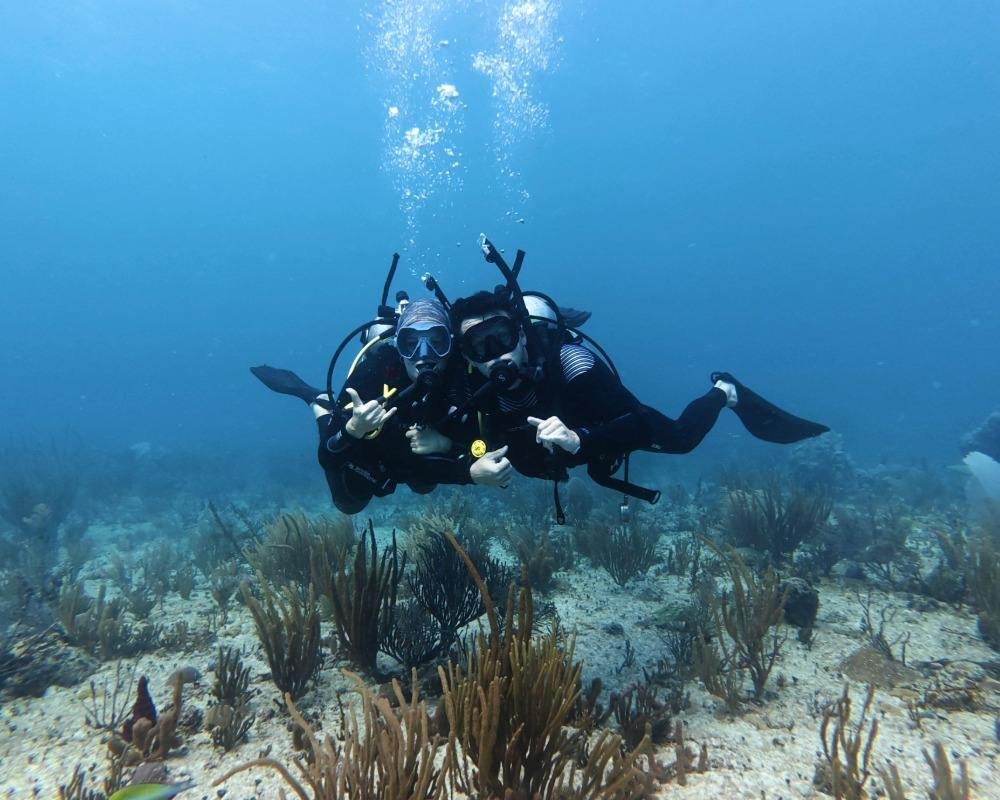 Services Photo Slideshow Size copy 6