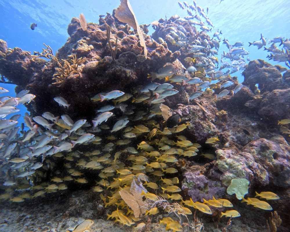 Services Photo Slideshow Size copy 8