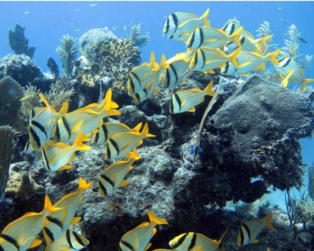 Sin título (2) copy 12