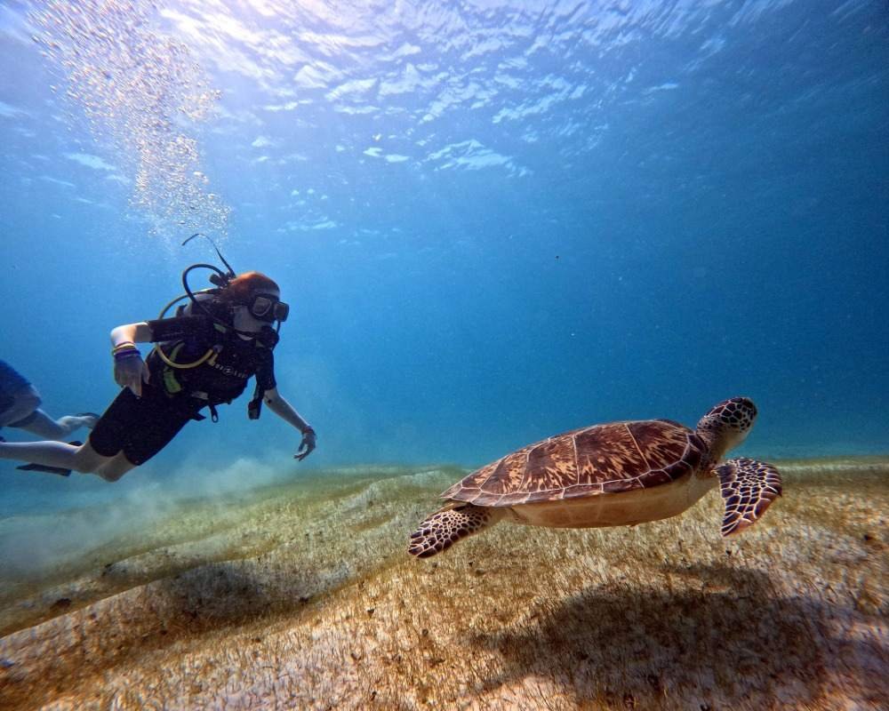 Sin título (2) copy 13