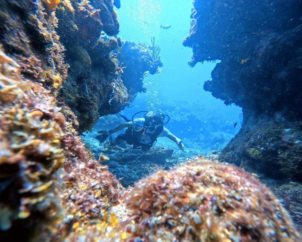 Sin título (2) copy 15